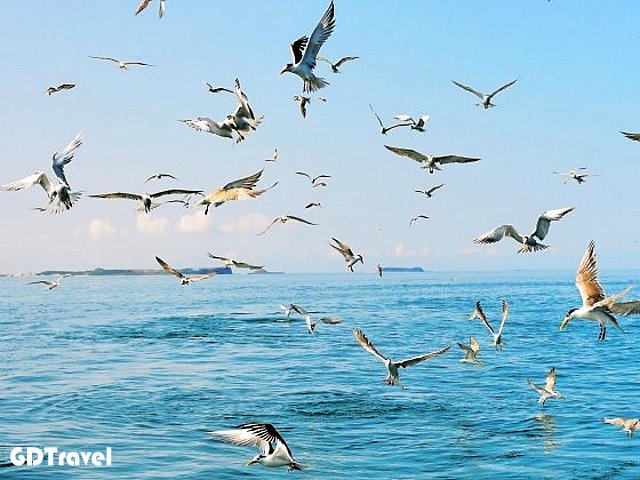 白猿坑東海半日遊圖片4