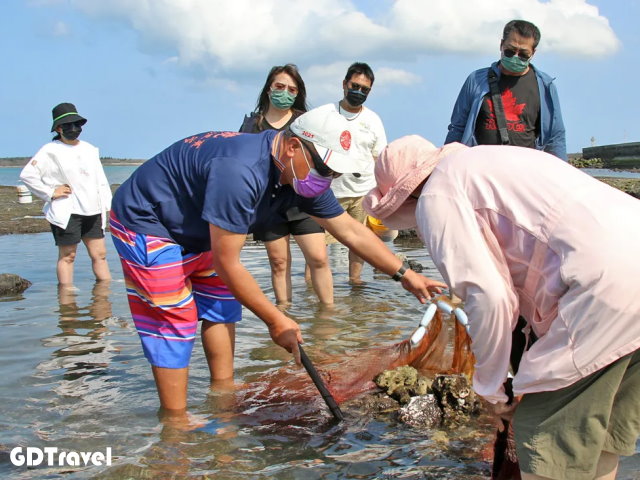 晶翔號東海一日漁夫體驗圖片5