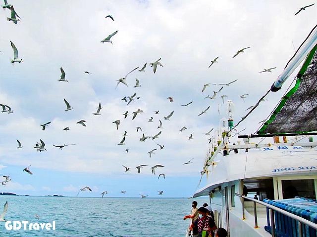 晶翔號東海一日漁夫體驗圖片6