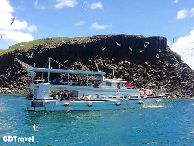 戀夏東海一日遊